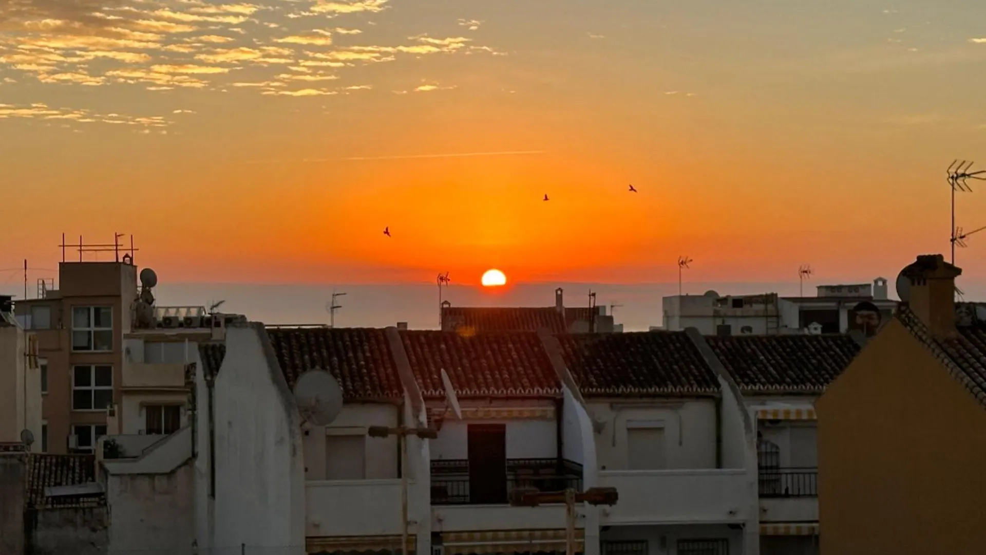 Gorgeous Apartment At The Sea In La Carihuela! Torremolinos 0*,